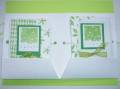 2006/06/20/Enjoy_Gently_Falling_Card_Holder_Cards_and_Envelopes_to_match_002_by_kitcatsmom.JPG