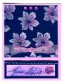 2006/02/13/Blossoms_for_a_Friend_by_LilLuvsStampin.jpg