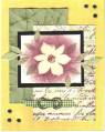 2006/10/17/Best_Blossoms_Canvas_Floral_French_Script_-_2006_by_I_mstampin_happy.jpg