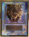 2014/11/07/Wolf_Polished_Stone_Birthday_Card_with_wm_by_lnelson74.jpg