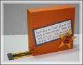 2010/06/16/finished_tape_measure_gift_card_holder_by_al_silver2.jpg
