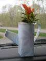 2009/05/01/May_Day_watering_can_by_MariLynn.JPG