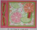 2006/04/15/Citrus_and_Such_by_dkstampinfool.jpg