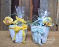 2014/03/19/Mar_FB_-_Blue_and_Yellow_Peat_Pots_by_jentimko.JPG