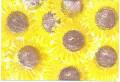 2008/06/09/AE_Tin_Sunflowers_4_Notecards_08-0317_by_BabblingBrooks.jpg