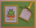 2006/07/31/green_and_yellow_frog1_by_Sharmill.jpg