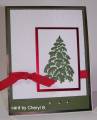 2009/01/21/Beauty_of_Christmas_red_and_green_by_Cheryl_Bambach_by_Ladybugb919.jpg