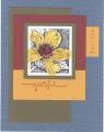 2007/06/29/grateful_marigold_by_price138.JPG