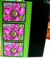 2010/08/01/pink_and_green_flower_on_black_by_aboehman.jpg