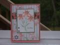 2008/04/27/Cards_002_by_Christy_Hill.JPG