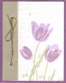 2005/04/23/tulips1.jpg