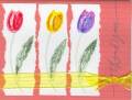 2005/11/27/Colorful_Tulips_by_humanclay.jpg