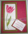 2006/03/15/Rose_Red_Tulip_by_kfamilystamper.jpg