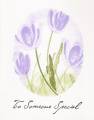 2006/04/07/Lilac_Tulips_by_vcr.jpg