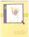 2006/04/17/Terrific_Tulips_3_by_up4stampin2.jpg