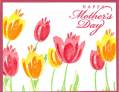 2006/05/04/Mothers_Day_Tulips_by_jennypooh624.JPG