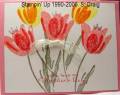 2006/05/08/Mother_s_Day_Tulips1_small_by_bensarmom.jpg