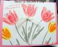 2006/05/08/Mother_s_Day_Tulips3_small_by_bensarmom.jpg