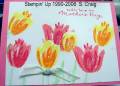 2006/05/08/Mother_s_Day_Tulips4_small_by_bensarmom.jpg