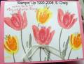 2006/05/08/Mother_s_Day_Tulips5_small_by_bensarmom.jpg
