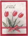 2006/05/26/Tulips_by_Iluvcards.jpg