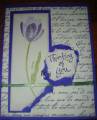 2007/03/15/Purple_tulip_thinking_of_you_by_Tnewhook.jpg