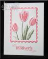 2008/05/01/Terrific_Tulips_Mother_s_Day_by_Choc0holic.jpg