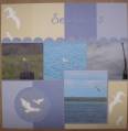 2008/07/21/Door_County_Seagulls_by_sullypup.JPG