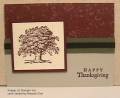 2005/11/23/Happy_thanksgiving_tree_designer_paper_1299_by_maxene.jpg