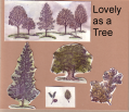 2006/07/10/DG_lovely_as_a_tree_Index_by_Dorinda.png
