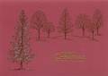 2008/12/12/cranberry_trees_by_possumhill.jpg