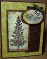 2010/07/10/Get_Well_Lovely_As_A_Tree_by_Julie_Gearinger.JPG