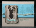 2017/01/25/Donna_s_Designs_-_Masculine_Birthday_Deer_Mount_Woodlands_by_countrymouse.jpg