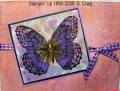 2006/07/20/Purple_Vellum_Butterfly_small_by_bensarmom.jpg
