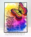 2017/07/18/071817_RRCB67_Rainbow_Butterfly_FV_by_Julie_Gearinger.jpg