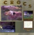 crocs_by_a
