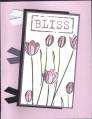 2006/05/21/Blissful_Tulips_by_btalem.jpg