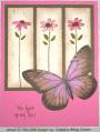 2006/06/08/SC75_mmc_butterfly_by_lacyquilter.jpg