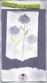 2006/10/07/Vintage_Violet_Blossom_Card_by_sunnywl.jpg
