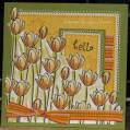 2009/02/26/guitargerlecards_kissable_cut_out_tulips_in_the_sunshine_by_guitargerle.JPG