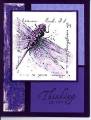 2006/06/21/purple_dragonfly_by_Colleen_Schaan.JPG