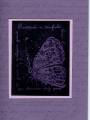 2006/07/31/pearl_ex_butterfly_by_stephm14.jpg