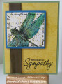2017/07/26/Dragonfly_sympathy_by_stampwithdiane.JPG