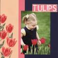 Tulips_8x8