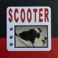 Scooter_Pa