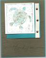 2006/05/12/turtle_by_stampin1.jpg