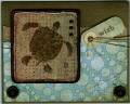 2007/10/02/Birthday_turtle_by_dstfrommi.jpg