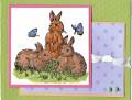 2009/03/12/the_gift_of_spring_easter_card_2009_by_flowerlady51.jpg