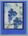 2006/06/07/Blossoms_Abound-blue_by_Crysta.jpg