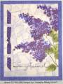 2006/07/20/WT70_mms_vellum_lilacs_by_lacyquilter.jpg